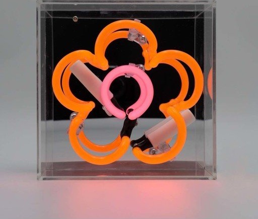 Locomocean Daisy neonskilt oransje