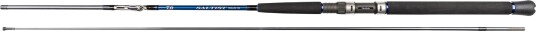 Daiwa Saltist Interline Trolling 8-9