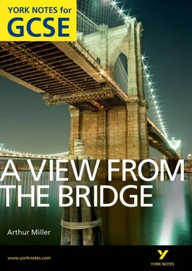 A View From The Bridge: York Notes For Gcse (Grades A*-G) Av Shay Daly