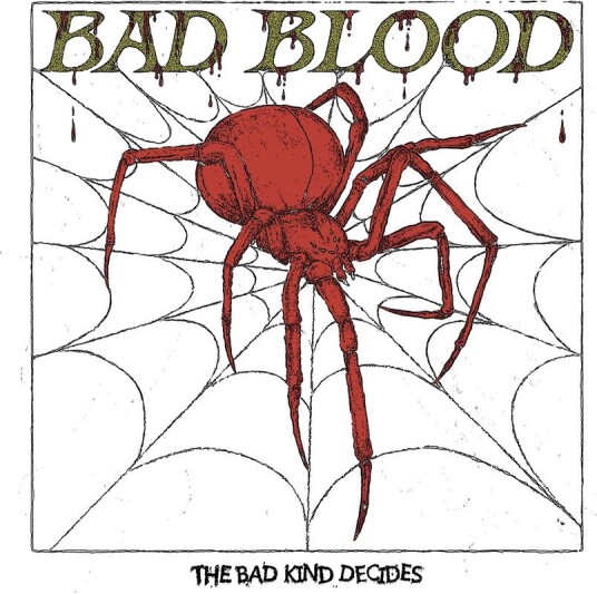 Bad Kind Decides Vinyl