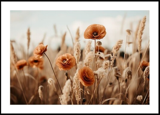 Poppies in Breeze Plakat / 21x30cm