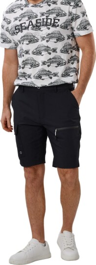 Seaside Cape Cod Shorts II