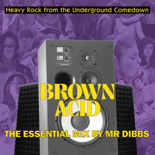 Diverse Artister Brown Acid Essential MIX By Mr. Dibbs CD
