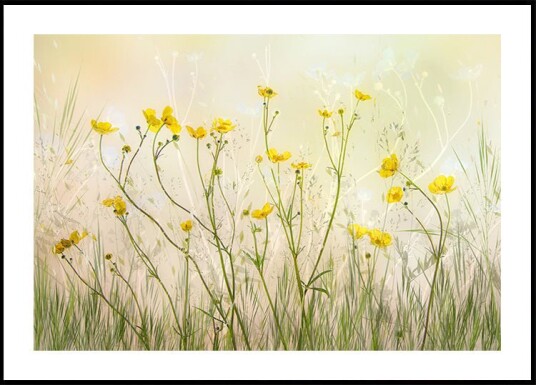 Nel Talen Good morning! Plakat / 30x40cm