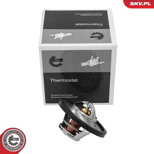 Termostat ESEN SKV 20SKV271