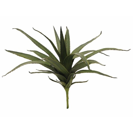 Europalms Aloe (Eva), Green, 50cm Europalms Aloe (Eva), Green, 50cm