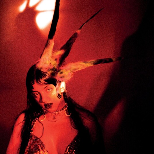 Fran Lobo  Burning It Feels Like  CD