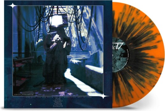 Love What You Can While You Got Something Left To Vinyl