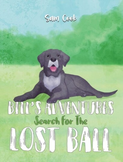 Bill’s Adventures: Search for the Lost Ball Bill’s Adventures: Search for the Lost Ball