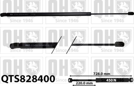 QUINTON HAZELL QTS828400 Baklukedemper