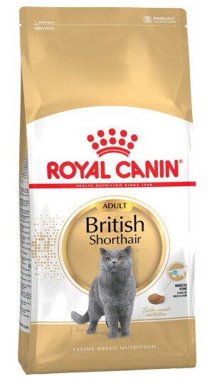 Royal Canin British Shorthair Voksenkattemat 4 kg med Antioksidanter