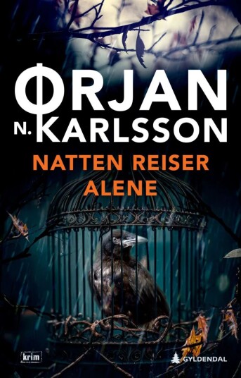 Natten Reiser Alene Av Ørjan N. Karlsson
