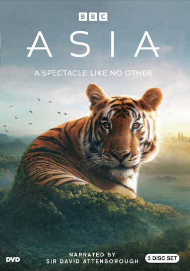 Asia DVD