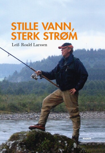 Stille vann sterk strøm