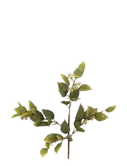 Bloomingville Eucalyptus Stem Green H92CM
