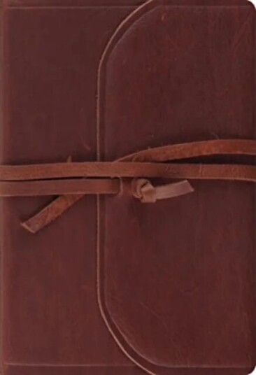 Esv Student Study Bible