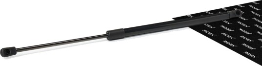 RIDEX 219G1311 Baklukedemper