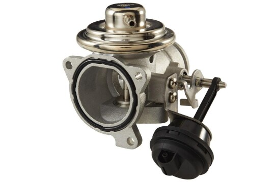 EGR Ventil HELLA 6NU 010 171-311