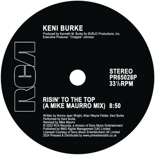 Risin' To The Top (mike Maurro Mix)