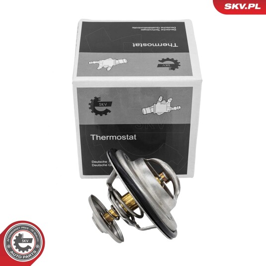 Termostat ESEN SKV 20SKV248