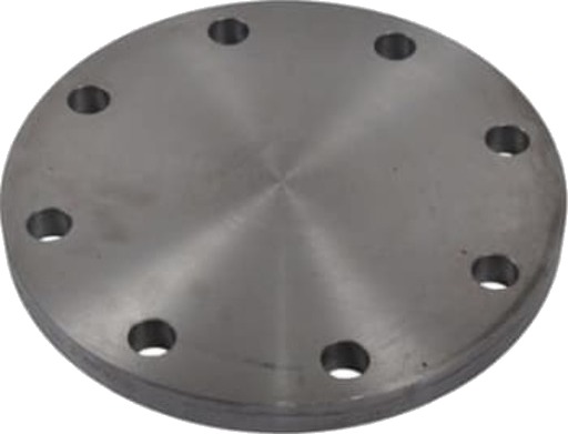 DN80 BLINDFLENS