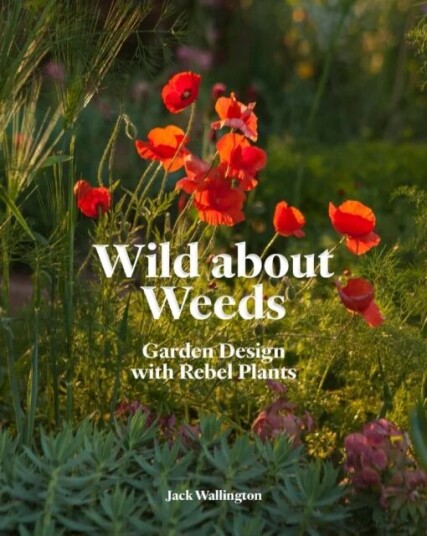 Wild About Weeds Av Jack Wallington Wild About Weeds Av Jack Wallington