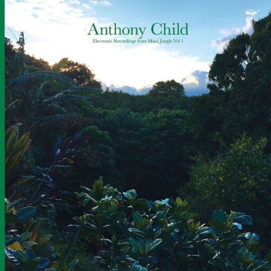 Anthony Child Electronic Recordings From Maui Jungle Vol 1 Usa Vinyl Anthony Child Electronic Recordings From Maui Jungle Vol 1 Usa Vinyl