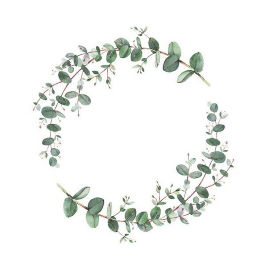 Ambiente   Serviett 33x33 cm 20 stk Eucalyptus Branche