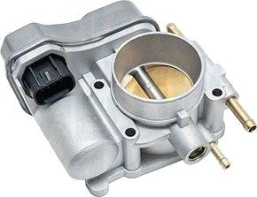 Gasspjeld MAGNETI MARELLI 802000000120