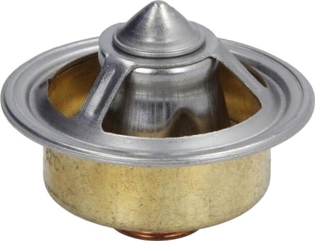 THERMOTEC D2AG005TT Termostat, kjølemiddel