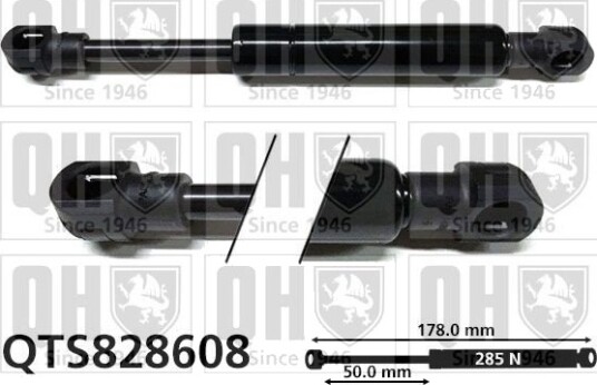QUINTON HAZELL QTS828608 Baklukedemper