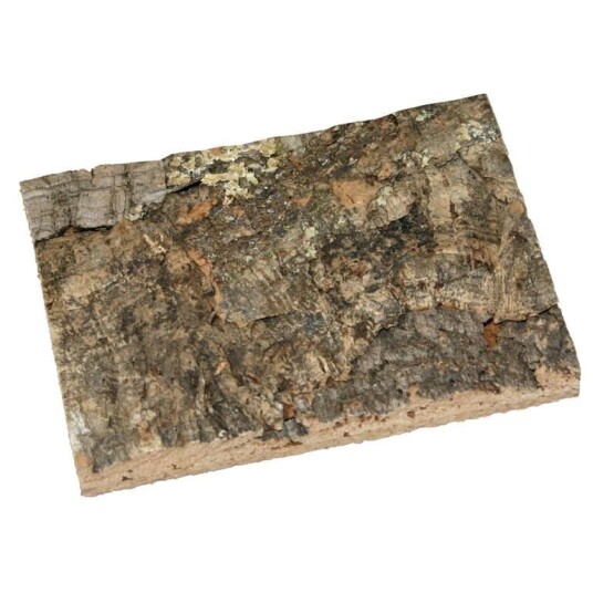 Korkbark Bakgrunn 60X30Cm Korkbark Bakgrunn 60X30Cm