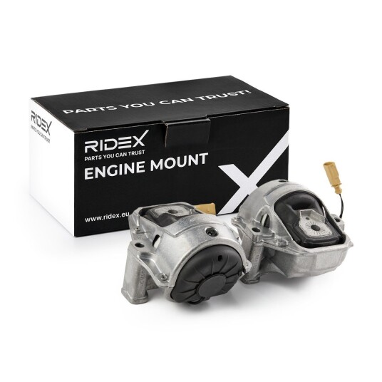 Motorfeste RIDEX 247E0728