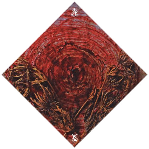 Ainsoph Affection & Vengeance CD
