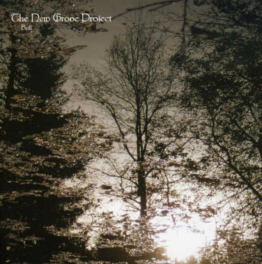 New Groove Project Brill CD