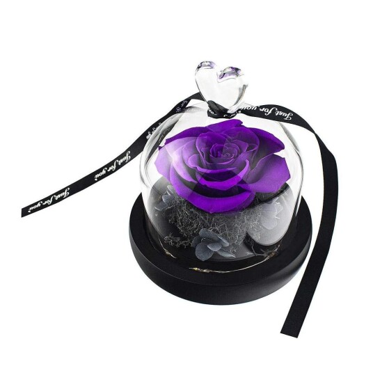 Liten Rose i Glasskuppel - Lilla Liten Rose i Glasskuppel - Lilla