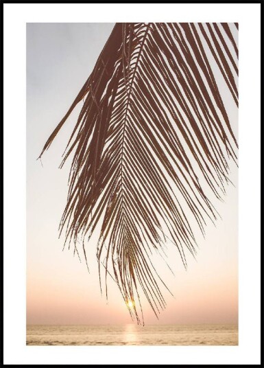 Sunset Palm Leaf Plakat Plakat / 30x40cm
