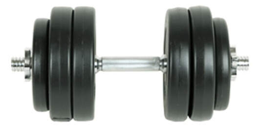 vidaXL Hantler Håndvekt 15KG