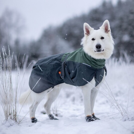 Non-Stop Dogwear Glacier Wool 2.0 Vinterdekken Hund Grønn 70 cm Non-Stop Dogwear Glacier Wool 2.0 Vinterdekken Hund Grønn 70 cm