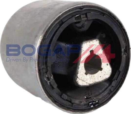 BOGAP C1711187 Ladeluftslange