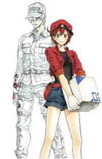 Cells At Work! Complete Manga Box Set! Av Akane Shimizu