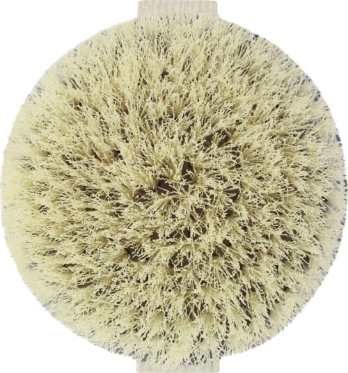 EcoTools Dry Body Brush EcoTools Dry Body Brush