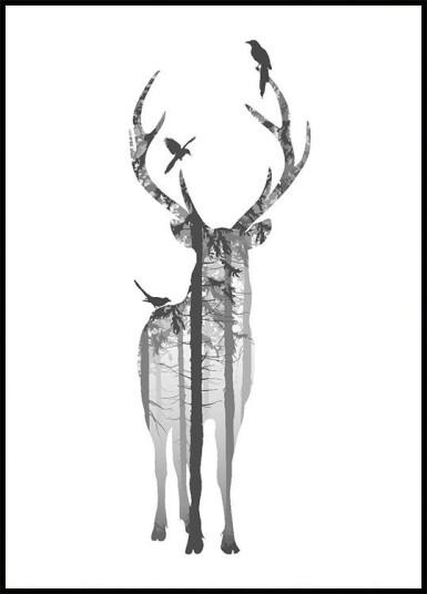 Deer And Birds Plakat Plakat / 50x70cm