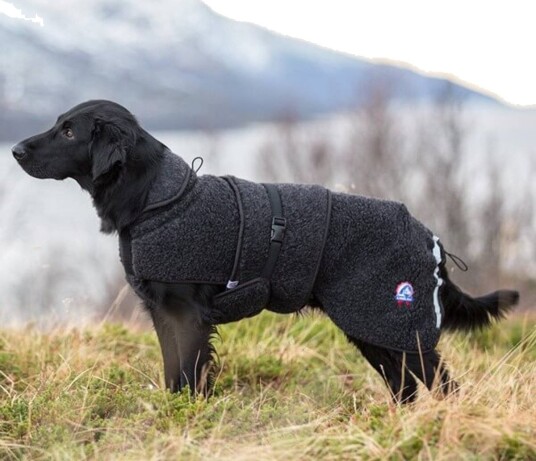 Canelana Ambassadør Ulldekken til Hund XXL 69 cm