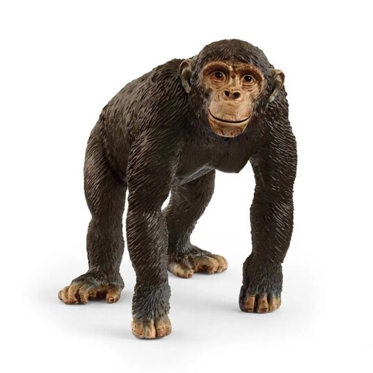 Schleich 14883 Sjimpanse Figur i Plast - Wild Life