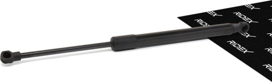 RIDEX 219G0204 Baklukedemper