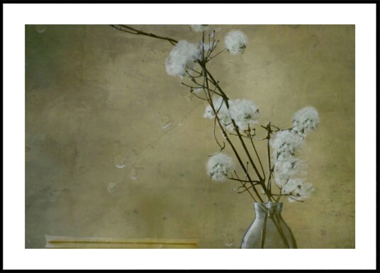 Serene Fluffy Flowers Plakat / 40x50 Serene Fluffy Flowers Plakat / 40x50