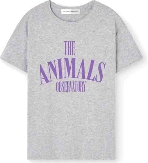 THE ANIMALS OBSERVATORY Pupfish Kid T Shirt Medium Grey Heather   Grey   4 Y