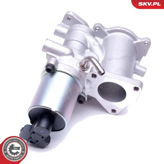 EGR ventil ESEN SKV 14SKV166