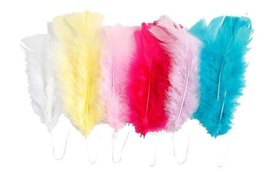Creativ Company Feathers in Various Colors 11-17cm 18pcs.